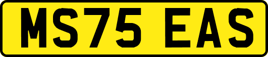 MS75EAS