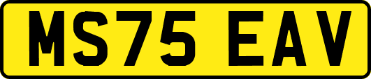 MS75EAV