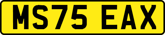 MS75EAX