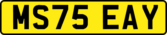 MS75EAY