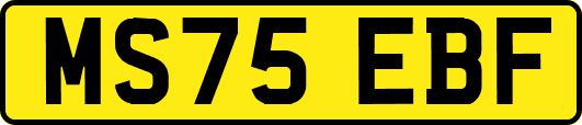 MS75EBF
