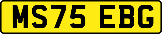MS75EBG