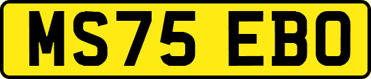 MS75EBO
