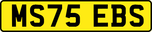 MS75EBS