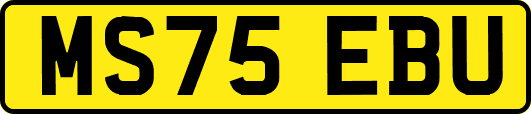MS75EBU