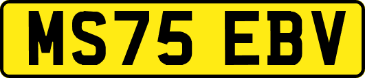 MS75EBV