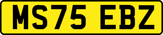 MS75EBZ
