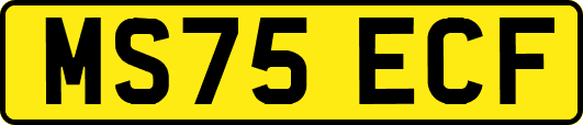 MS75ECF