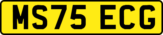MS75ECG