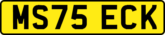 MS75ECK