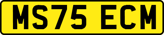 MS75ECM