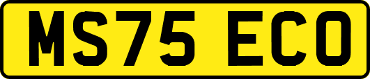 MS75ECO