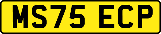 MS75ECP