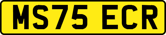 MS75ECR