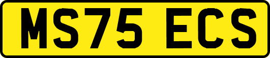 MS75ECS