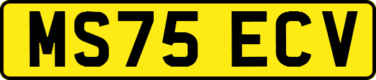 MS75ECV