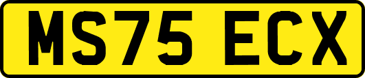MS75ECX