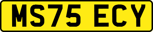 MS75ECY
