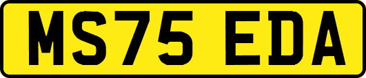 MS75EDA