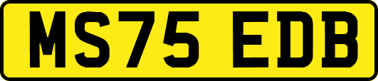 MS75EDB