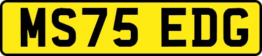 MS75EDG