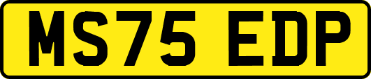 MS75EDP