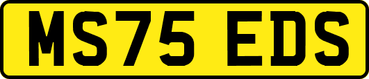 MS75EDS