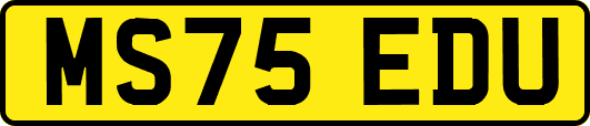 MS75EDU