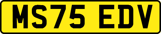 MS75EDV
