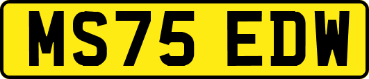 MS75EDW