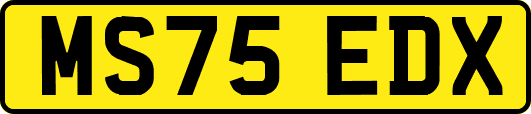 MS75EDX