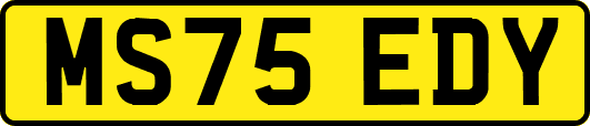 MS75EDY