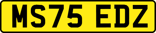 MS75EDZ