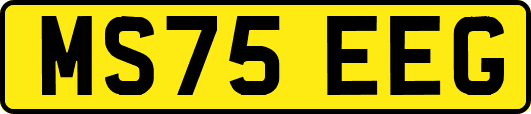 MS75EEG
