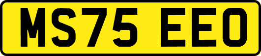 MS75EEO