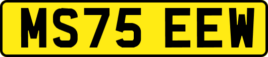 MS75EEW