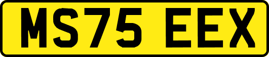 MS75EEX