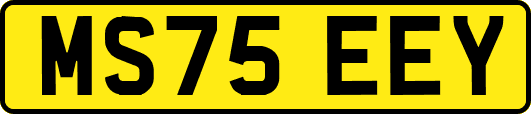 MS75EEY