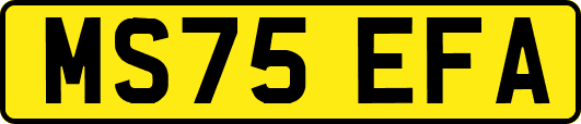 MS75EFA