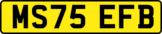 MS75EFB