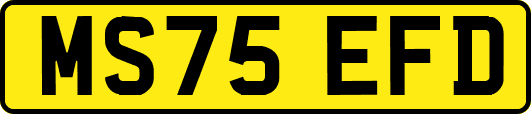 MS75EFD