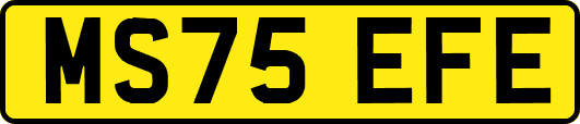MS75EFE