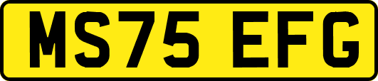 MS75EFG