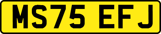 MS75EFJ