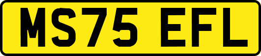 MS75EFL