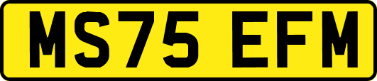 MS75EFM