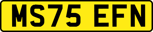MS75EFN