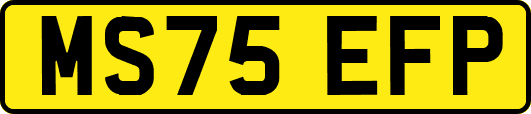MS75EFP