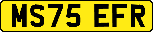 MS75EFR