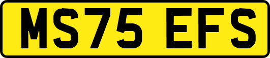 MS75EFS